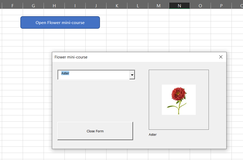 Build an Interactive Image Viewer in Excel Using a VBA User Form